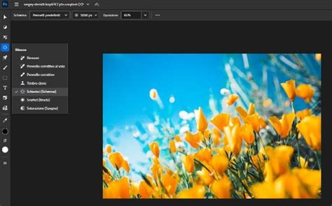 Come usare Photoshop online gratis .